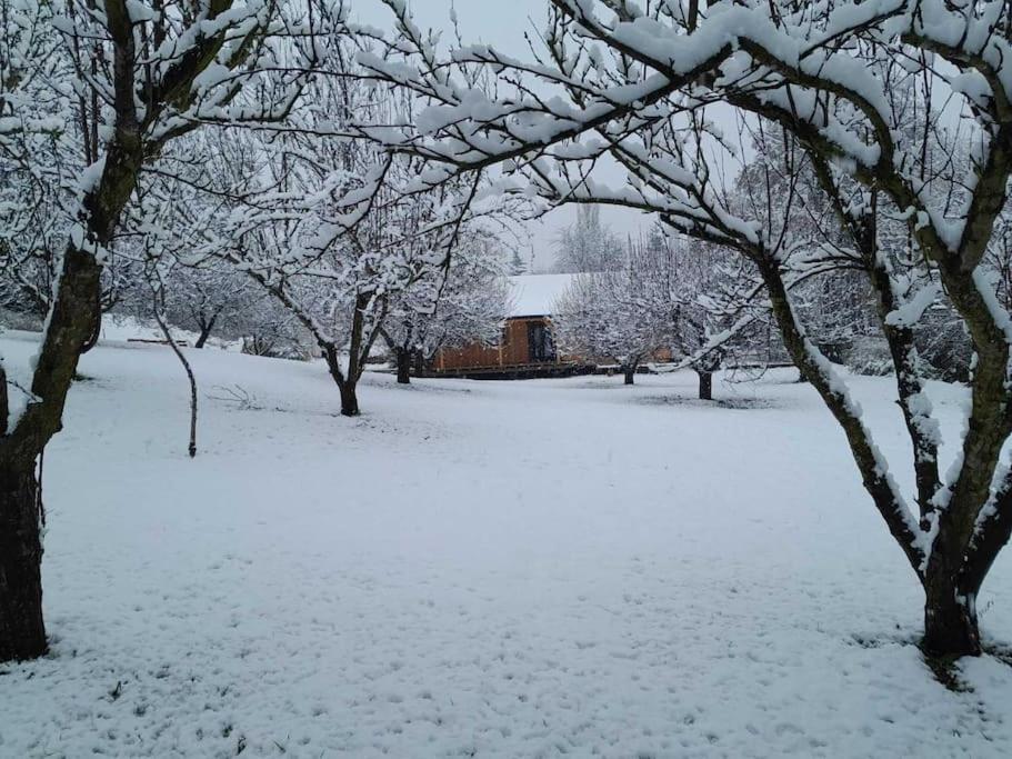 Nica Wood Villa Sremska Kamenica Luaran gambar