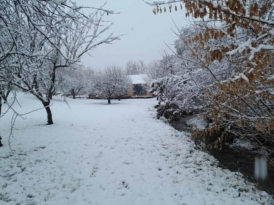 Nica Wood Villa Sremska Kamenica Luaran gambar