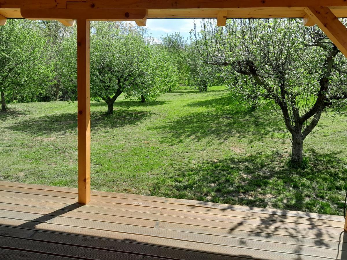 Nica Wood Villa Sremska Kamenica Luaran gambar
