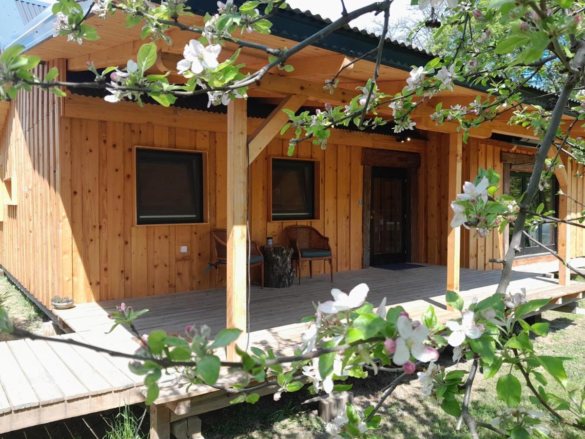 Nica Wood Villa Sremska Kamenica Luaran gambar