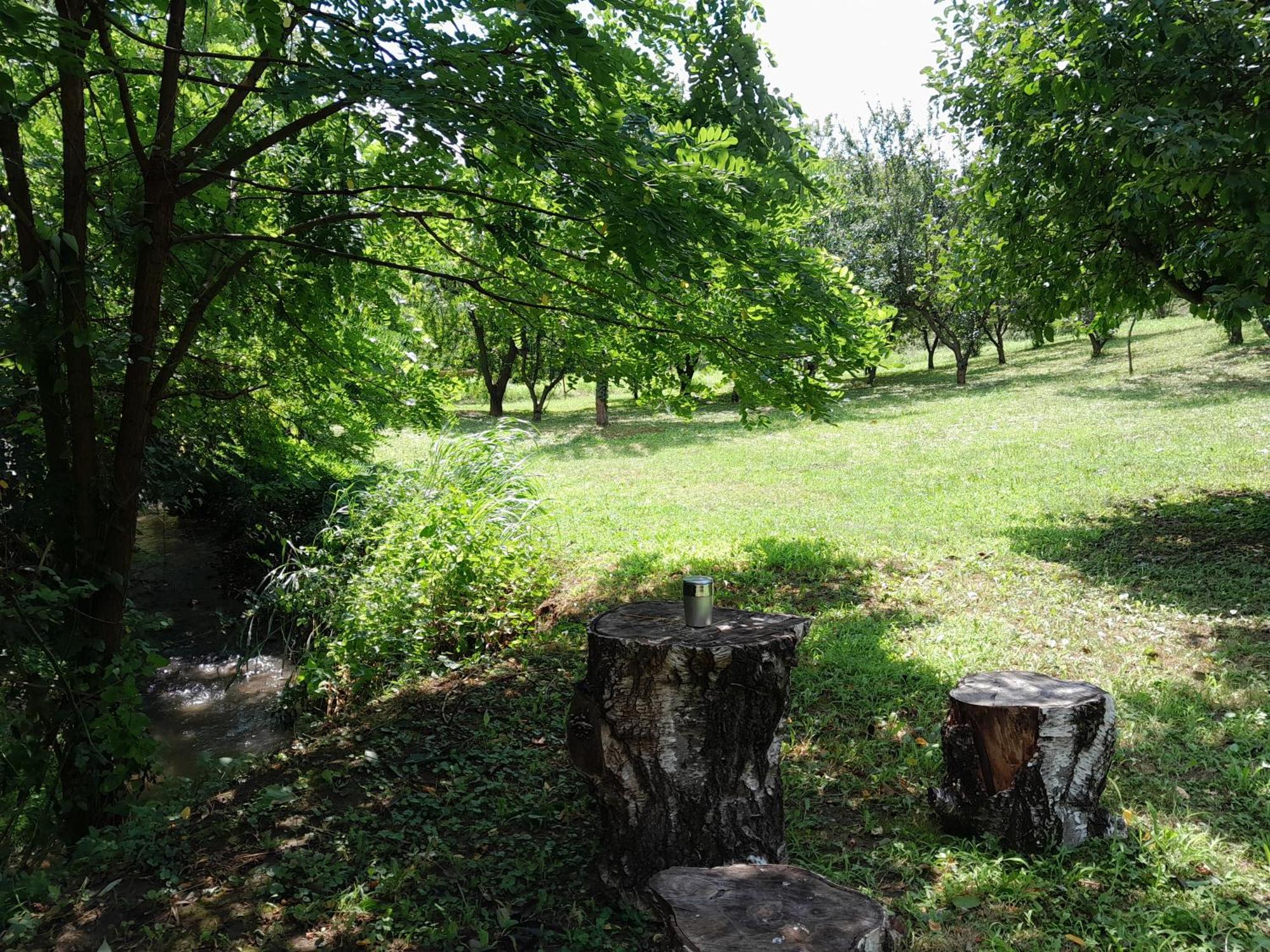 Nica Wood Villa Sremska Kamenica Luaran gambar