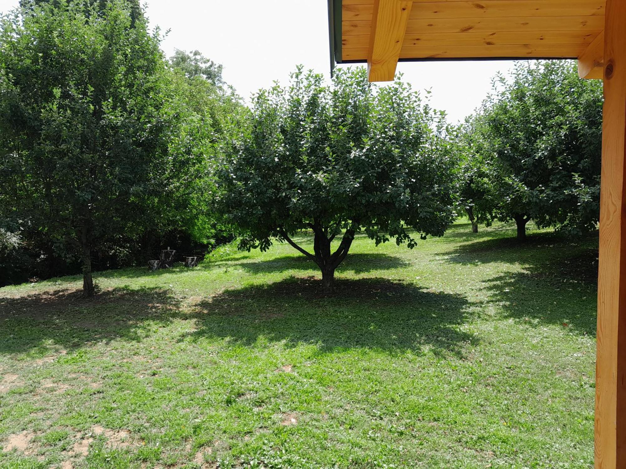 Nica Wood Villa Sremska Kamenica Luaran gambar