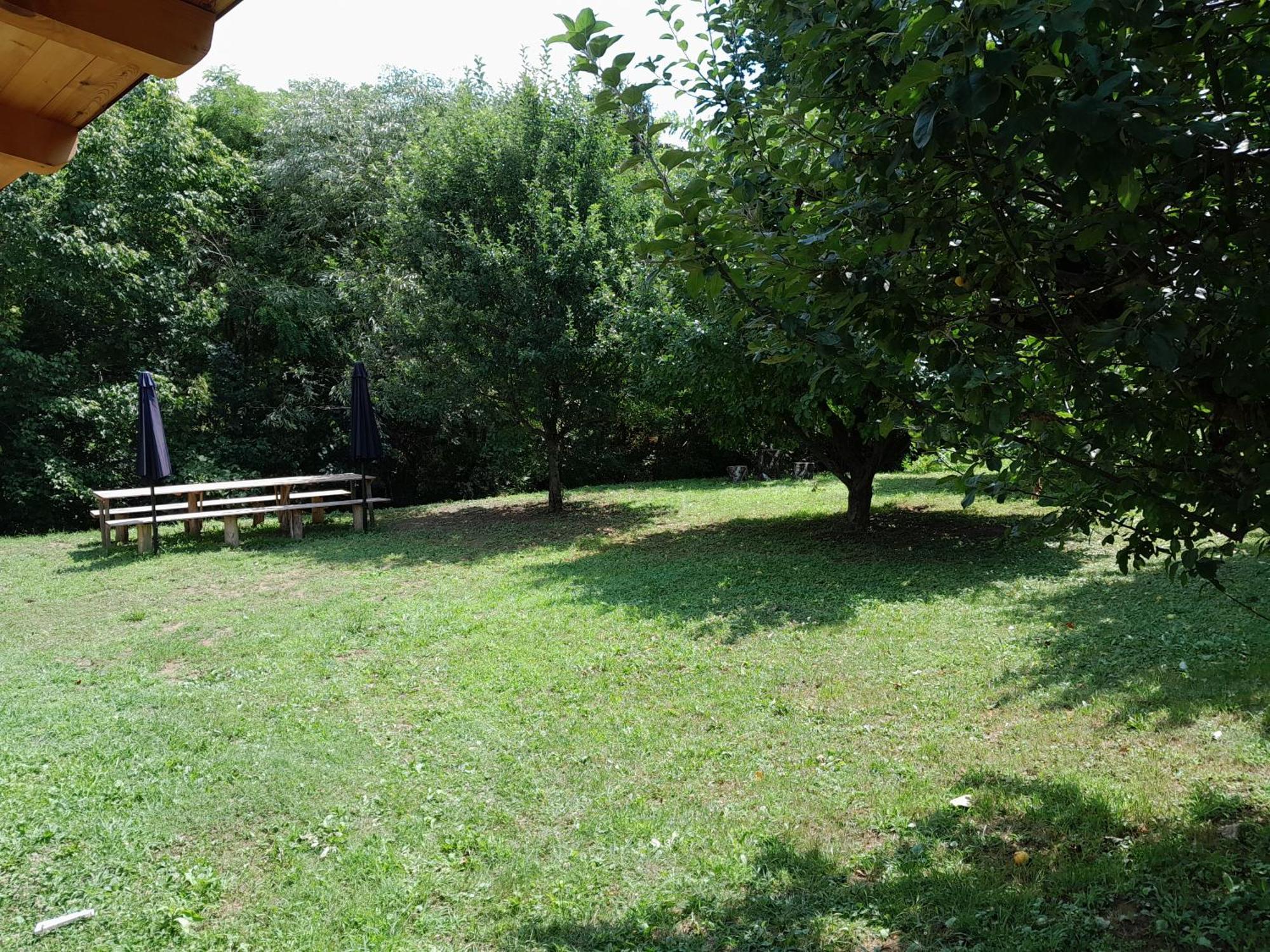 Nica Wood Villa Sremska Kamenica Luaran gambar
