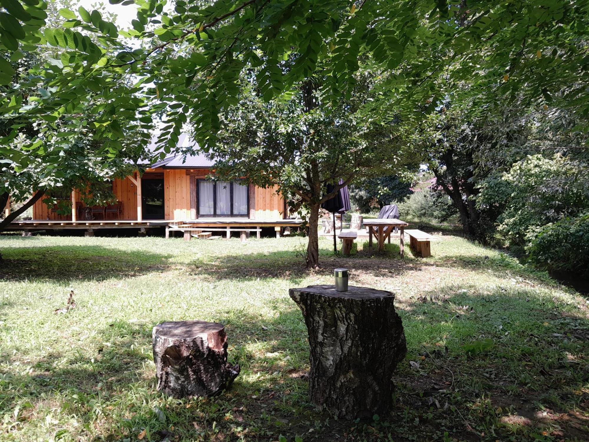 Nica Wood Villa Sremska Kamenica Luaran gambar